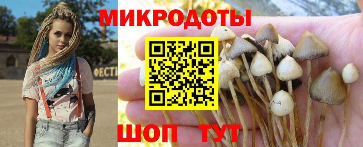 Галлюциногенные грибы MAGIC MUSHROOMS  Вход с VPN  купить  сайты  Рубцовск 